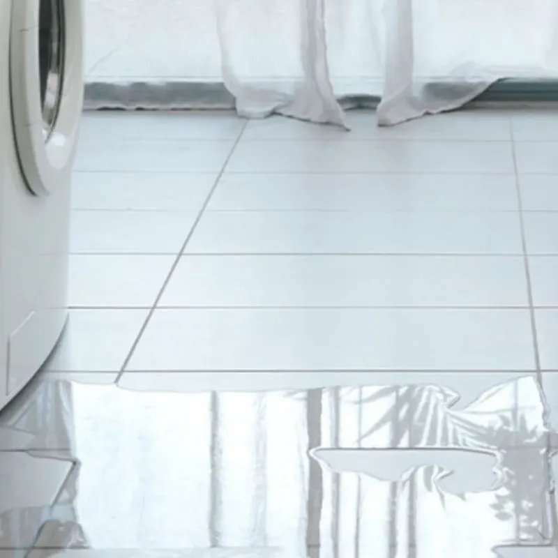 Appliance Leak Cleanup in New Hanover County, NC
