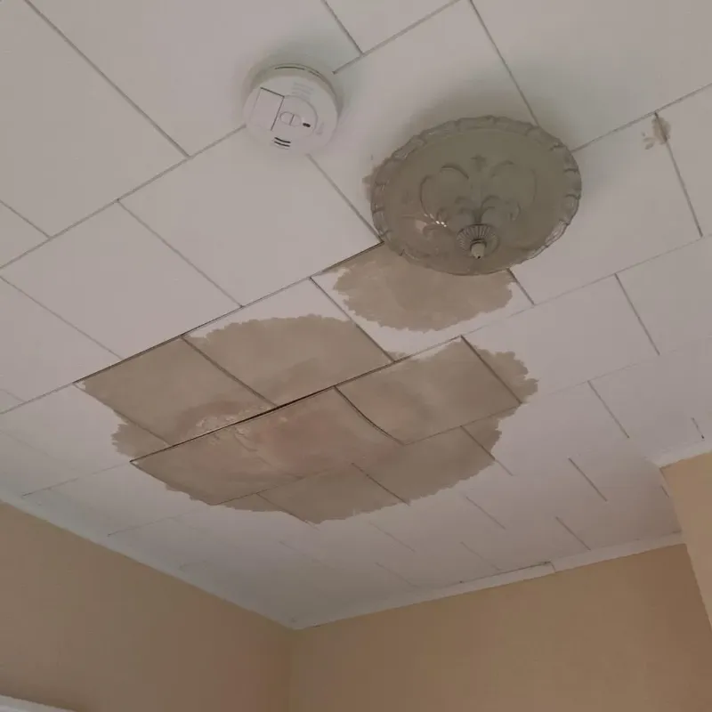 Ceiling Water Damage Repair in New Hanover County, NC