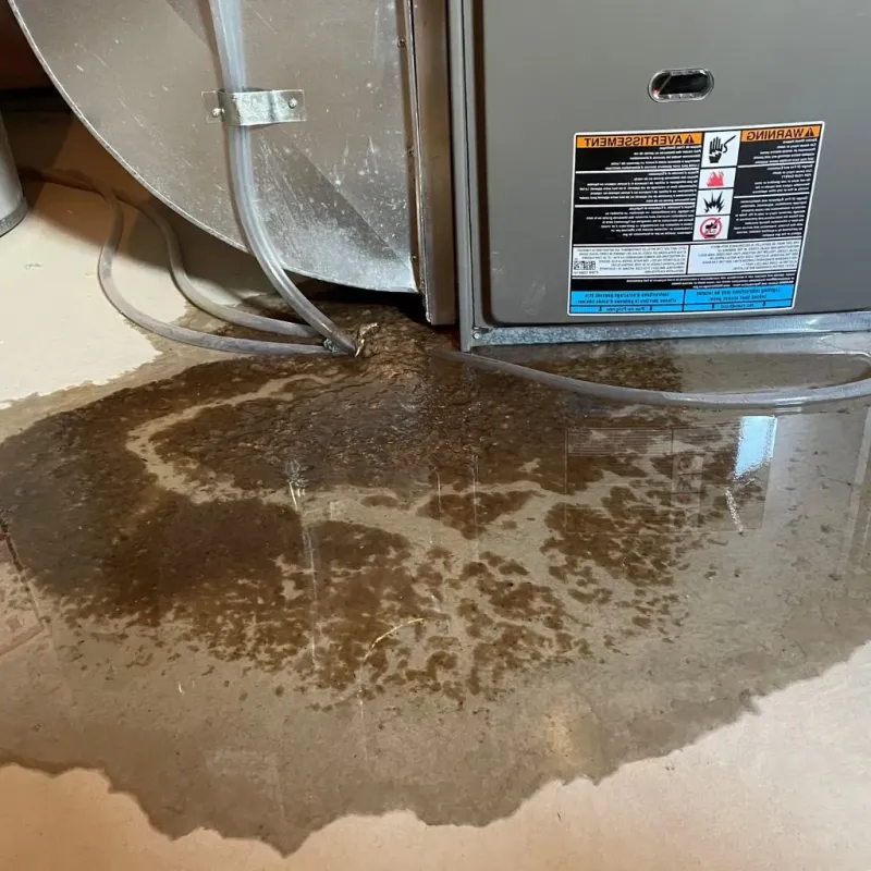 Pipe Burst and Leak Restoration in New Hanover County, NC
