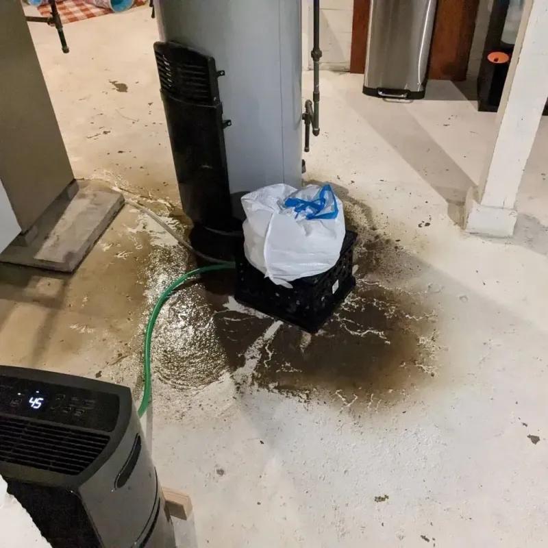 Sewage Backup Cleanup Service in New Hanover County, NC
